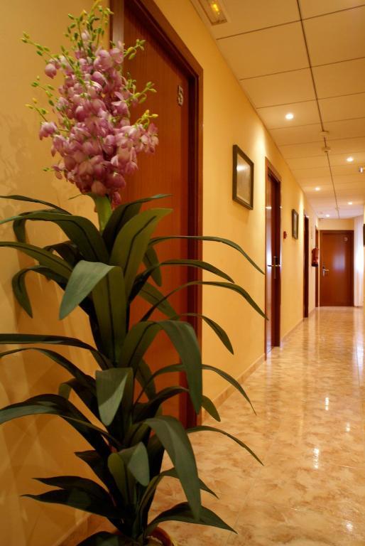 Hotel Mont-Roig Zewnętrze zdjęcie